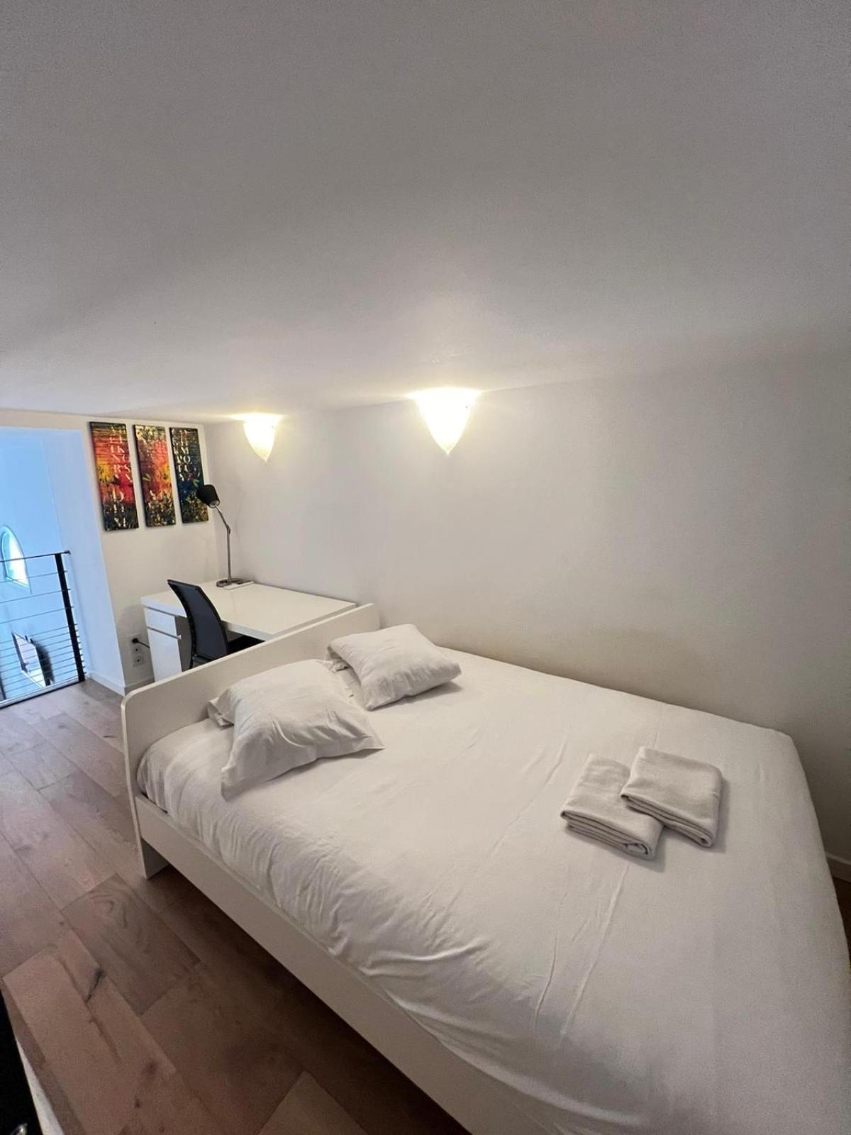 Apartment Magnifique Duplex Type Loft Nizza